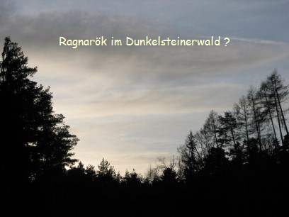 Im Dunkelsteinerwald Foto: H.Rötzer